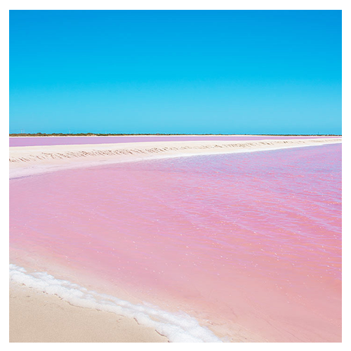 Río Lagartos y Las Coloradas